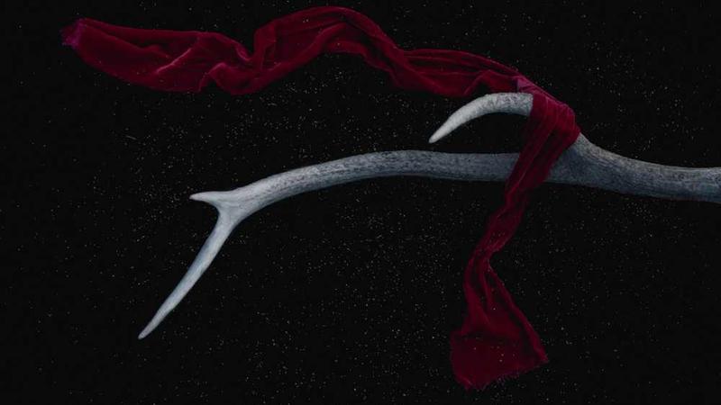 上海金茂君悦大酒店spa跟哪家合作