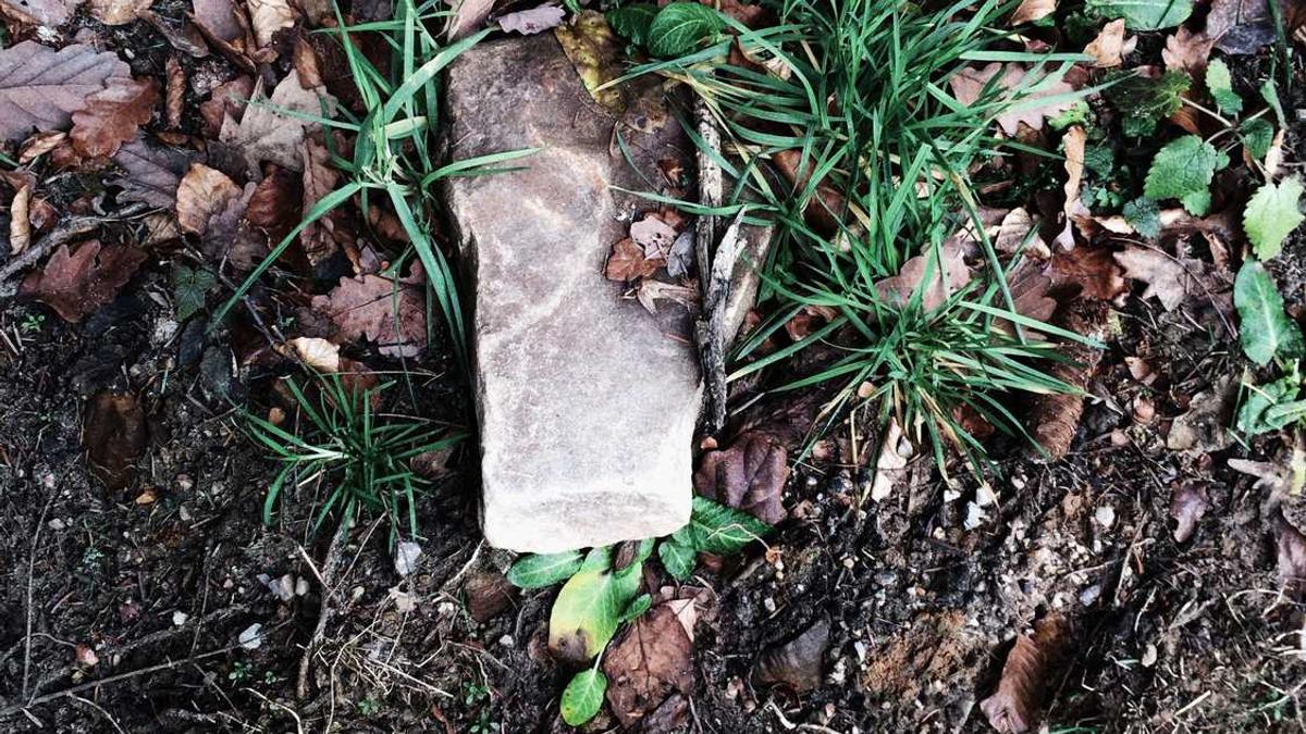 短剧穿过荆棘拥抱你男主是谁