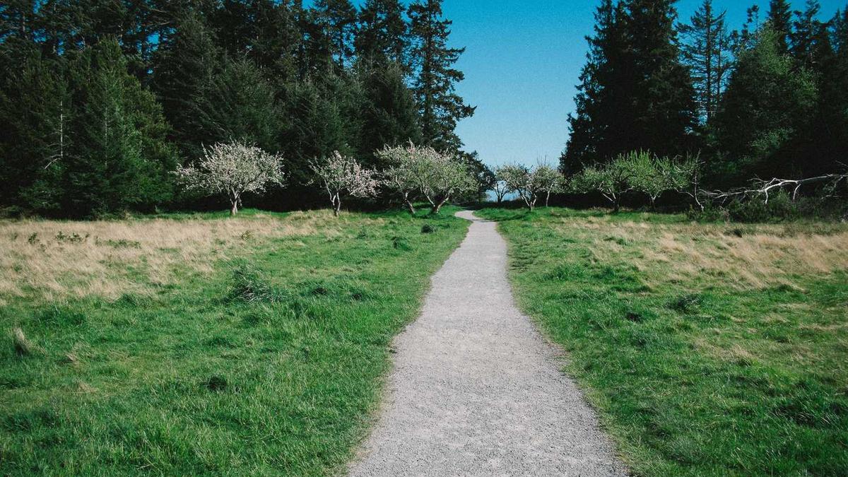 警告: 疫情之下,买房逻辑已变