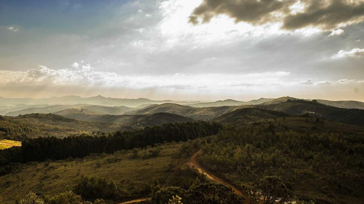 医学检验技术是干什么工作的