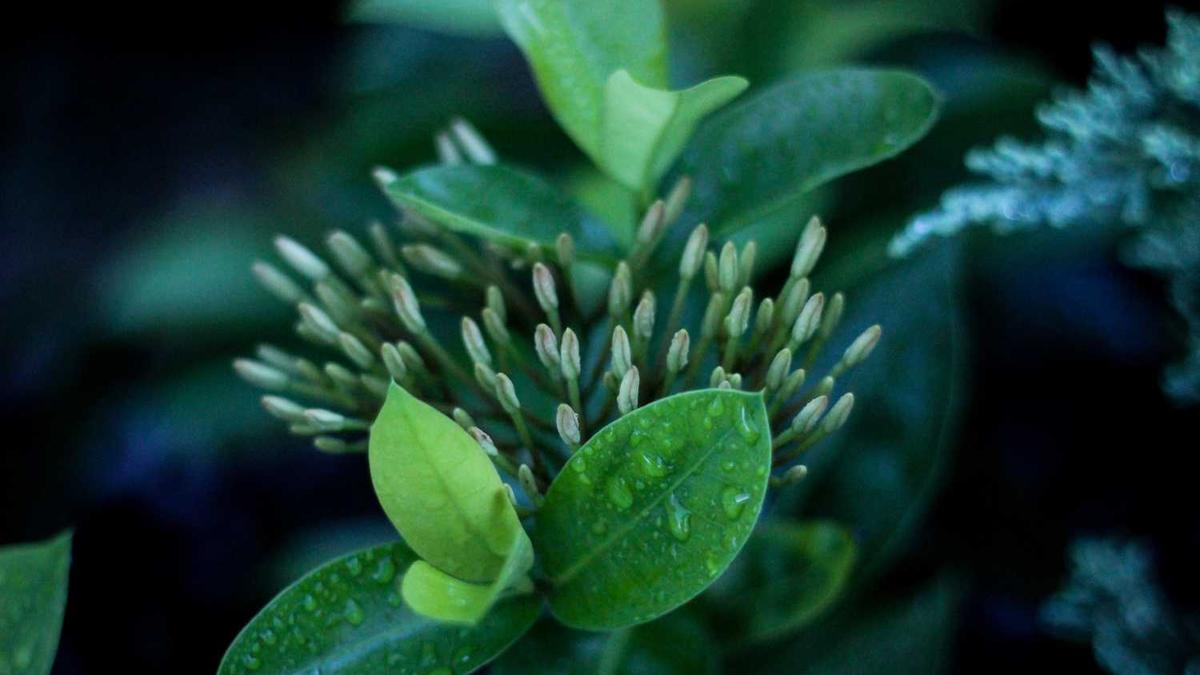 “生活不止眼前苟且,还有诗与远方”下一句是什么?