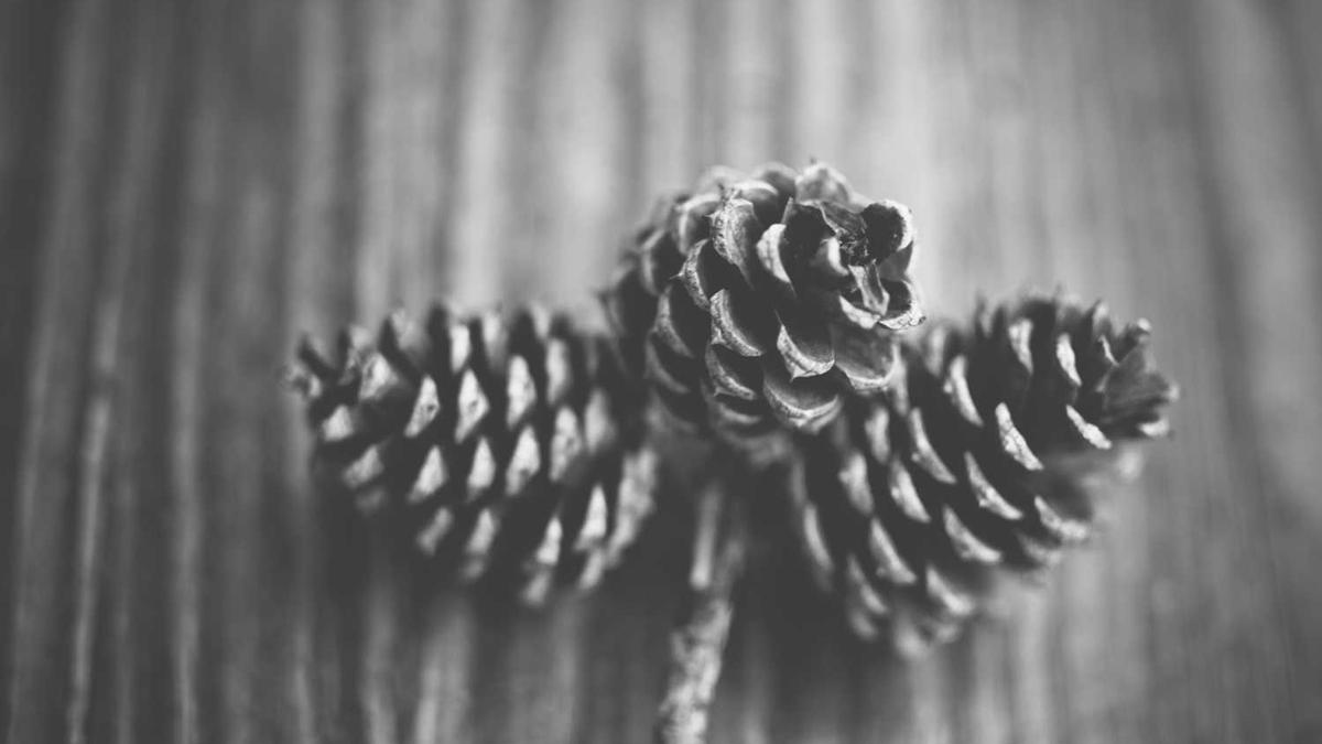 和女生约会怎么安排