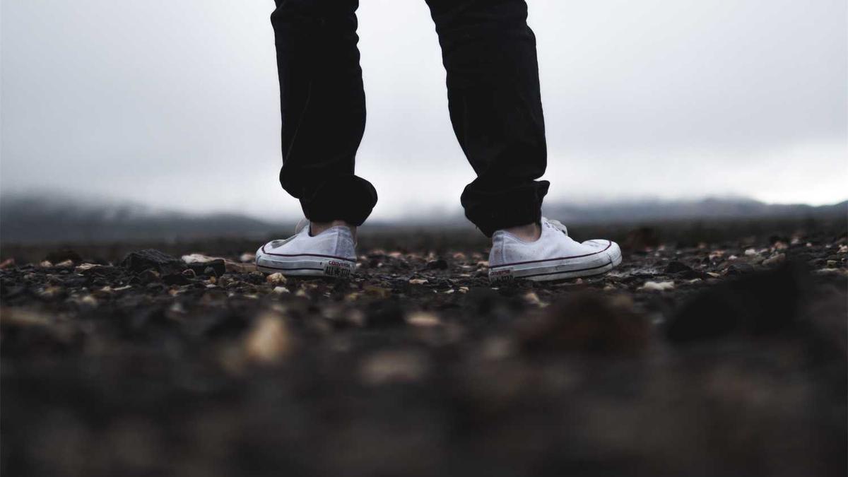 去哪里可以买到正宗的茶?