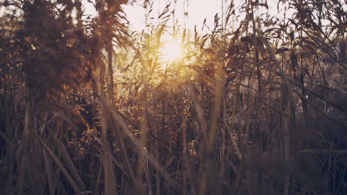 电视剧美剧排行榜