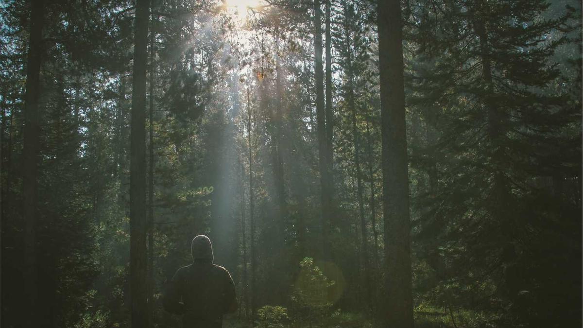 怎样用AI把工作总结改为人物通讯