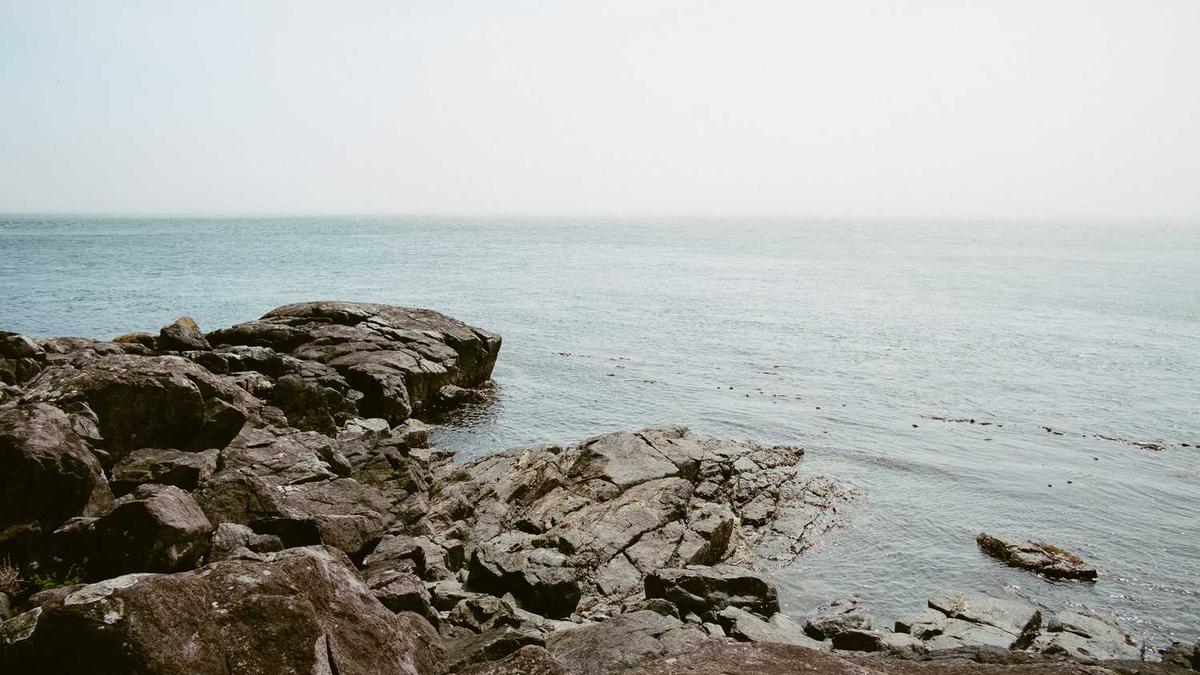 父母自由职业怎么填工作单位