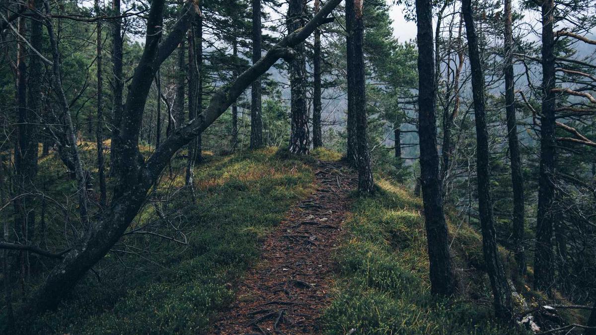 电影&lt;黑太阳731&gt;是谁拍的?