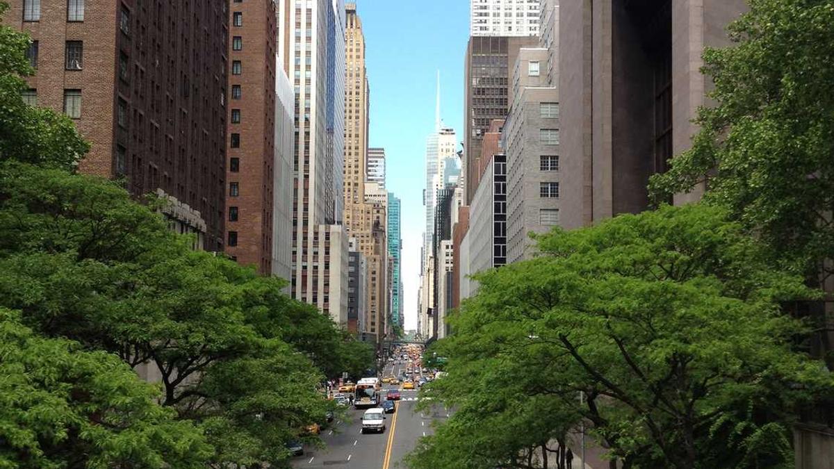 什么是新闻稿?什么是新闻特写?