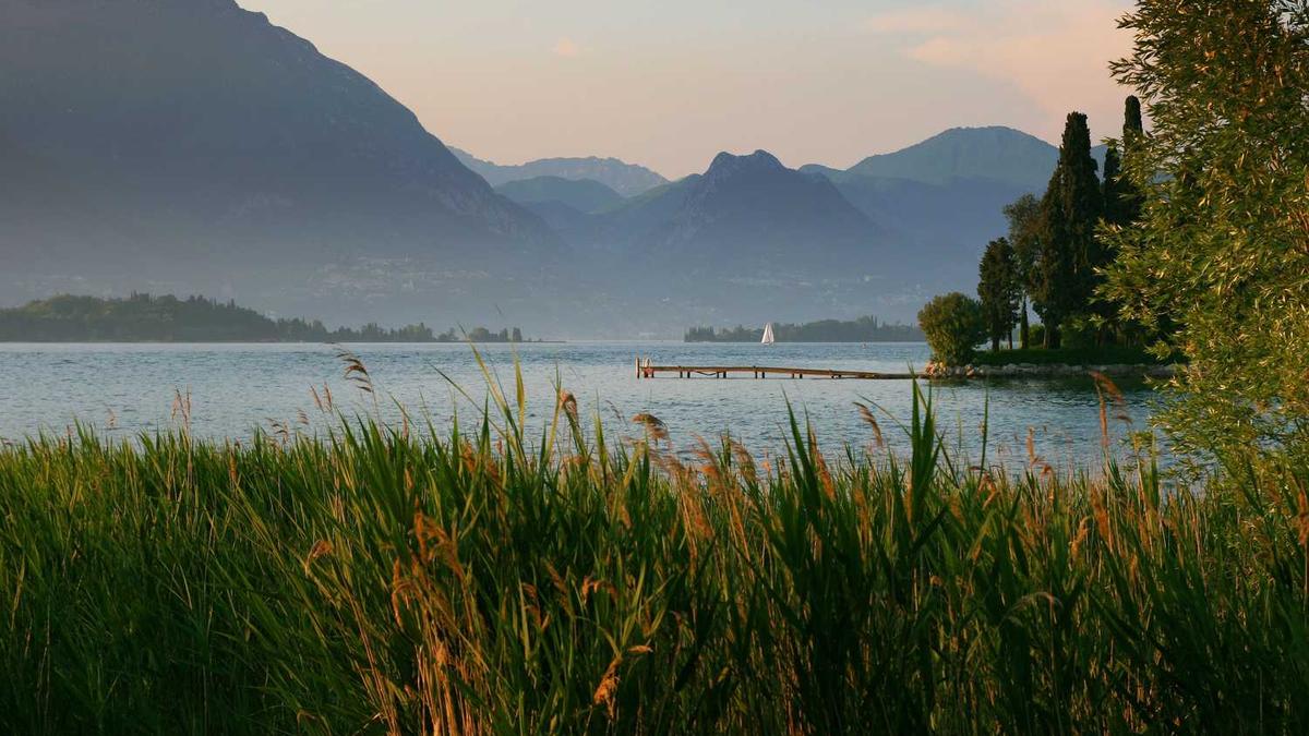 什么是新闻特写