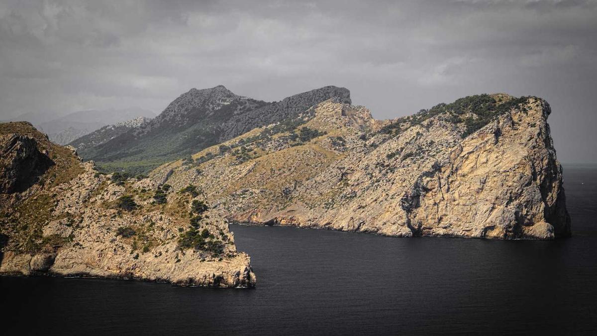 许我耀眼电视剧哪个app看