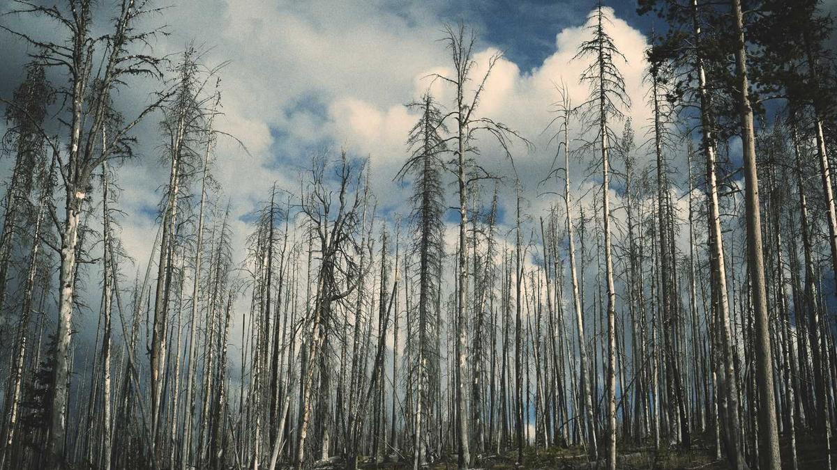 按摩器品牌热卖款排行榜前十名,按摩器十大品牌