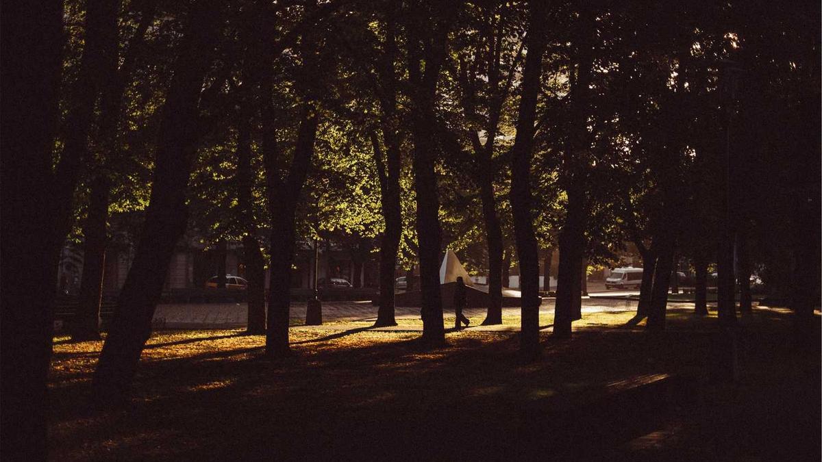 集美大学智慧交通2025招生人数