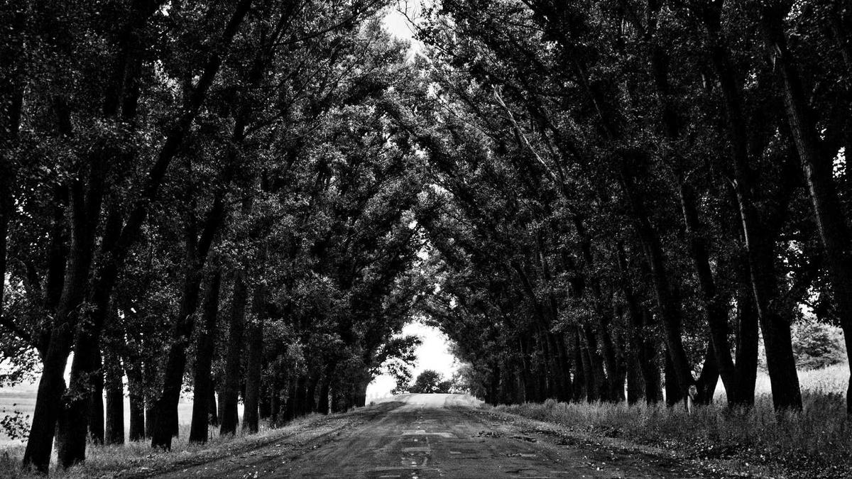 30亿在上海算大老板吗