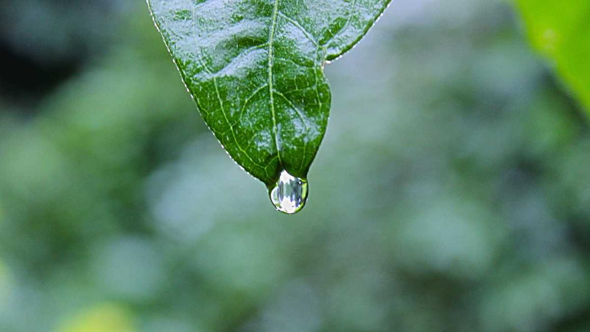 和小姐做爱真的很刺激,很爽吗?请男士回答～～为什么很多男人有老婆