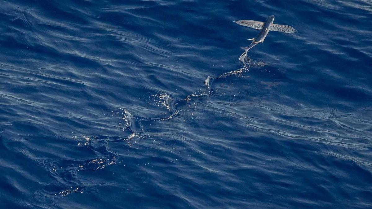 北京p2p最新消息新闻生了什么大事