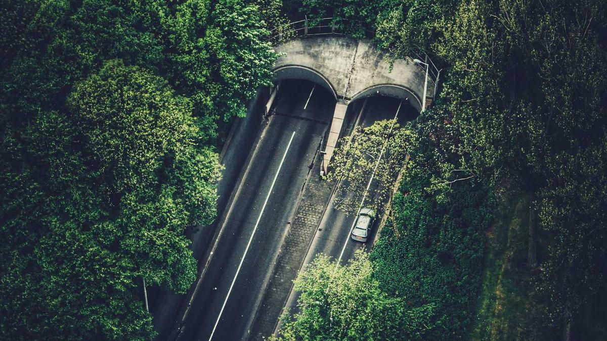 国家医学考试网查成绩怎么查