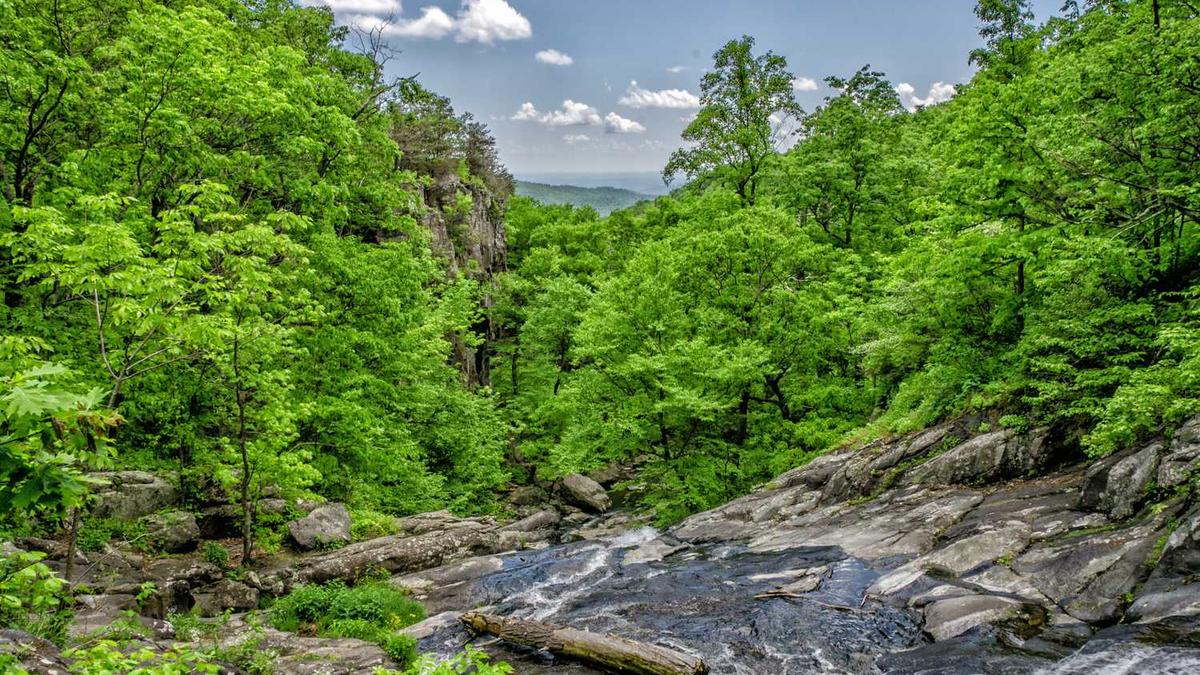 近十年上海房价变化情况,现在购房预算大概多少