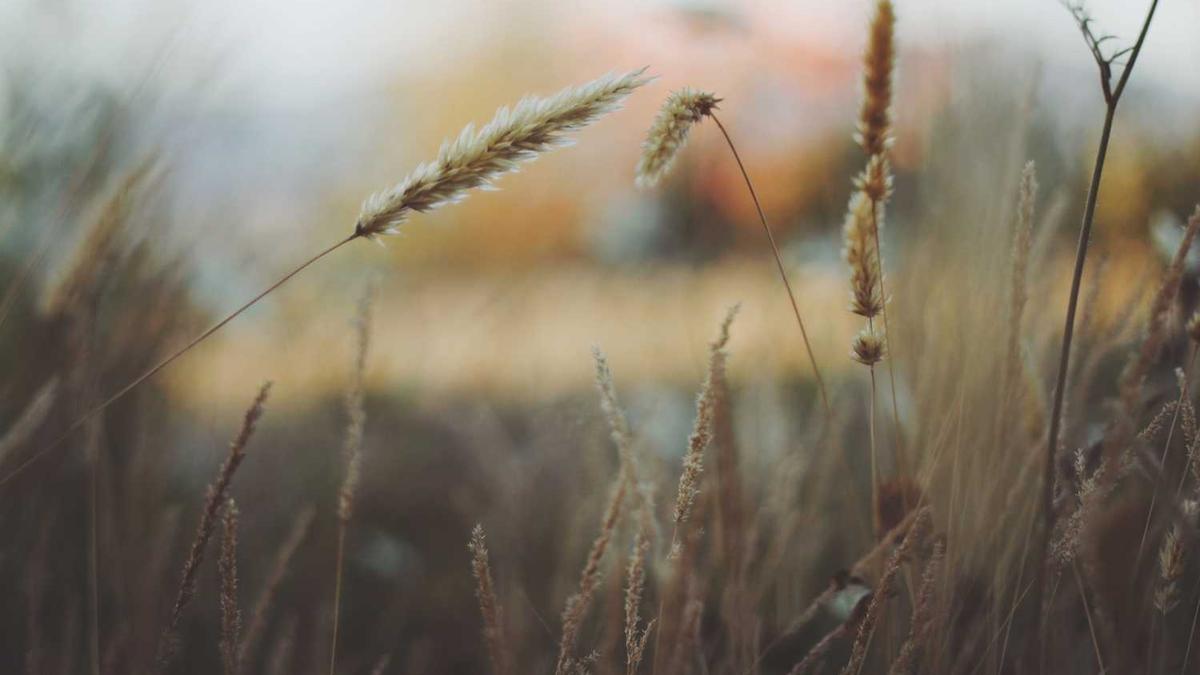 适合两人在私密空间里约会的地方在哪