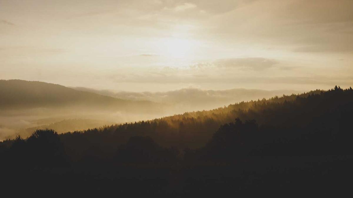 喝茶礼仪的适用人群有哪些