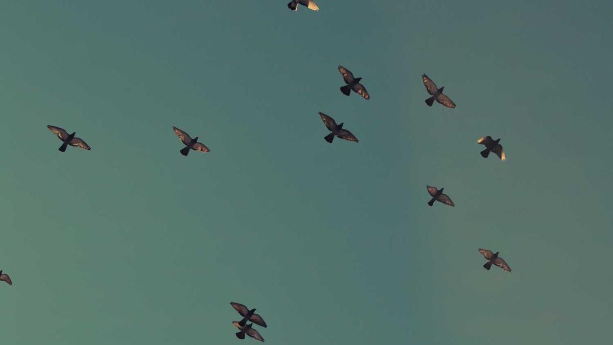 中国十大快餐店