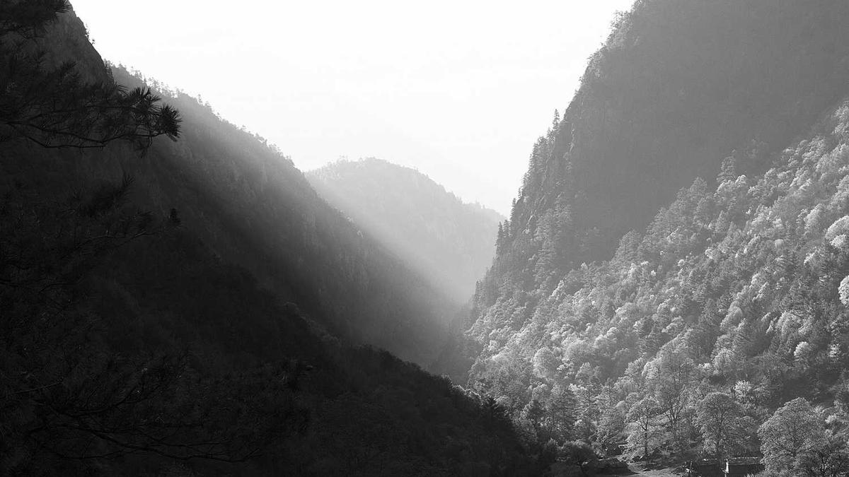 沙河视频是什么情况