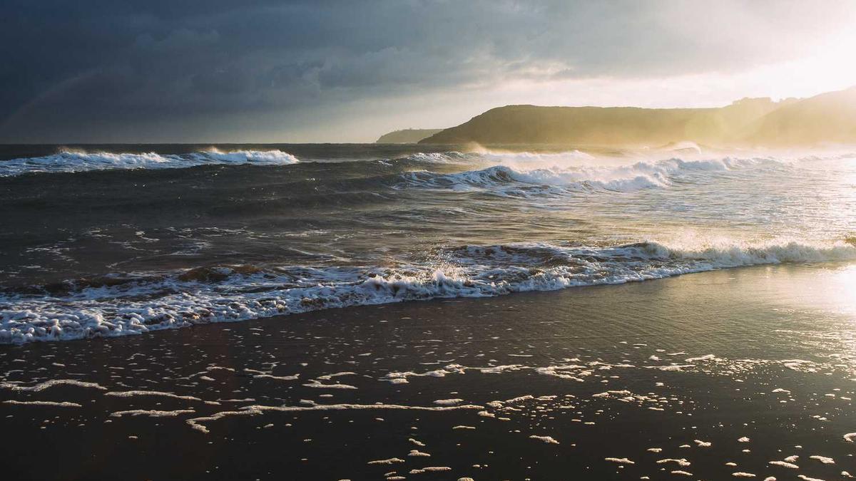 高级茶艺茉莉花茶的文案【精选69句】