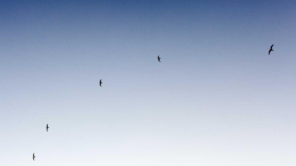 合肥市2026年城乡居民医保缴费