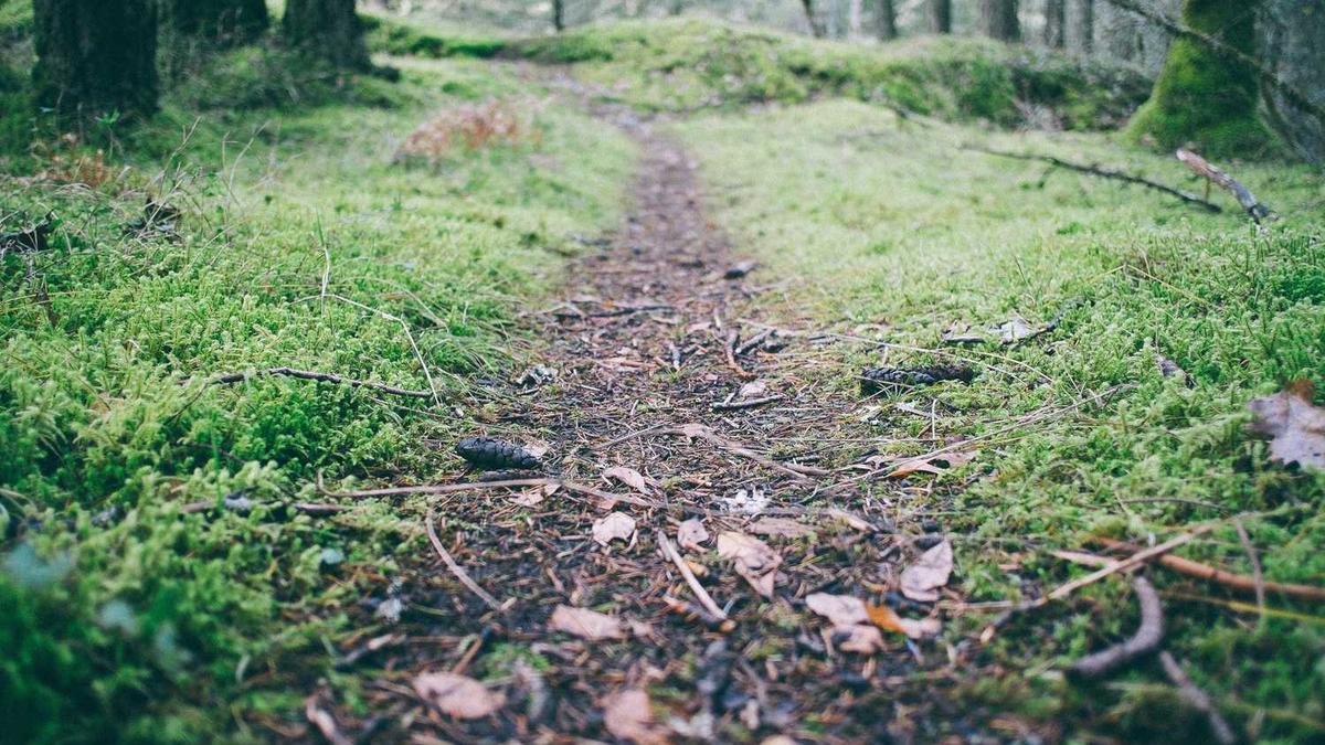 暑期放假去张家界的旅游攻略