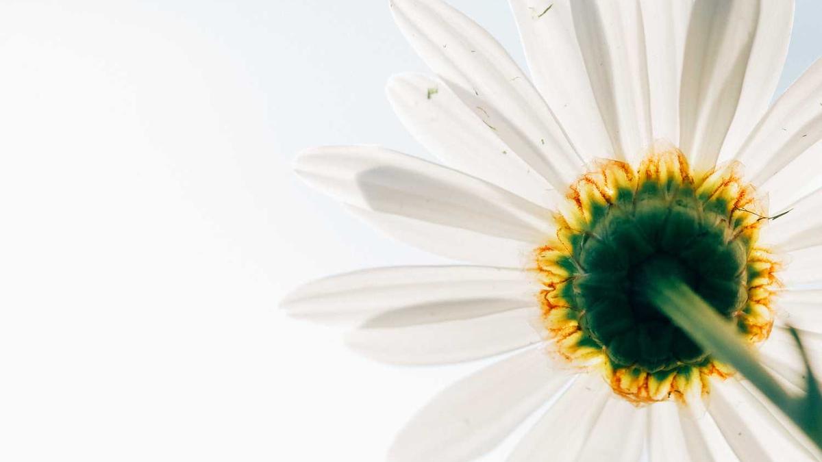 乐山2月旅游攻略(乐山二日游攻略自由行)