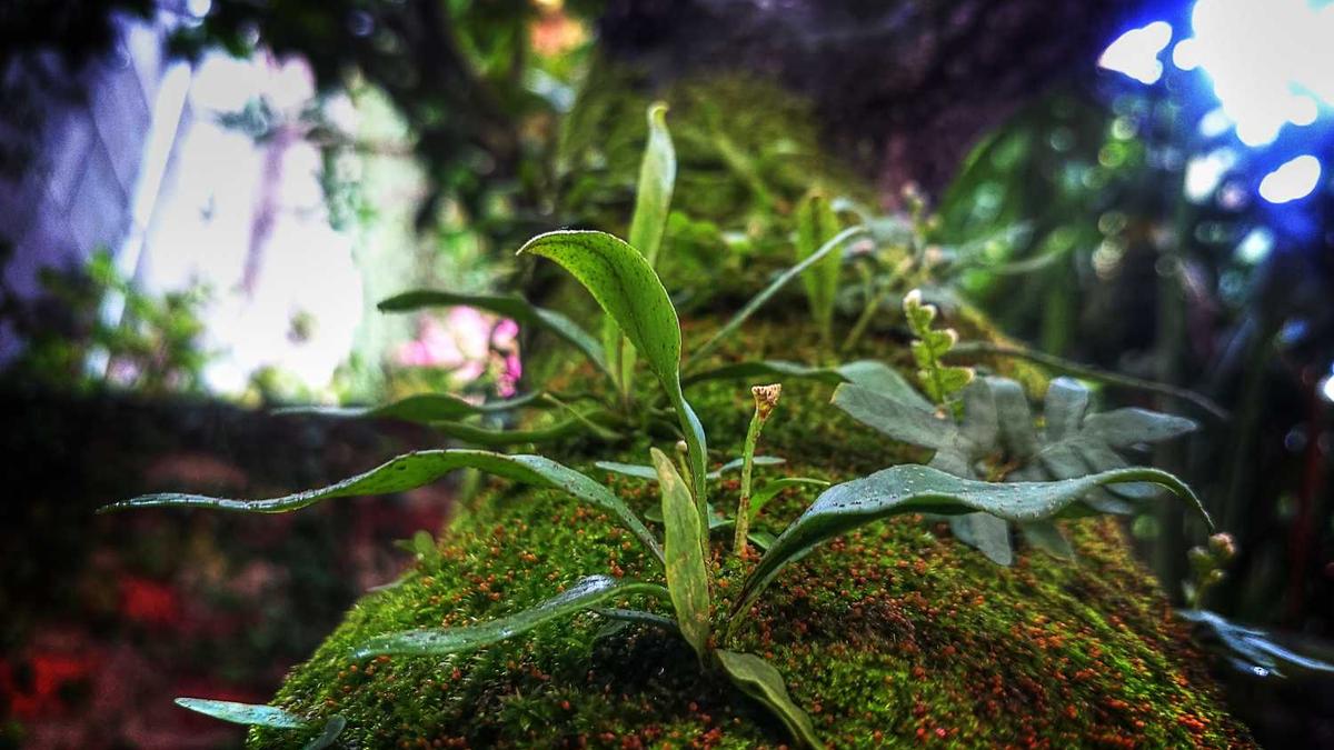 乌海湖含沙量大的原因