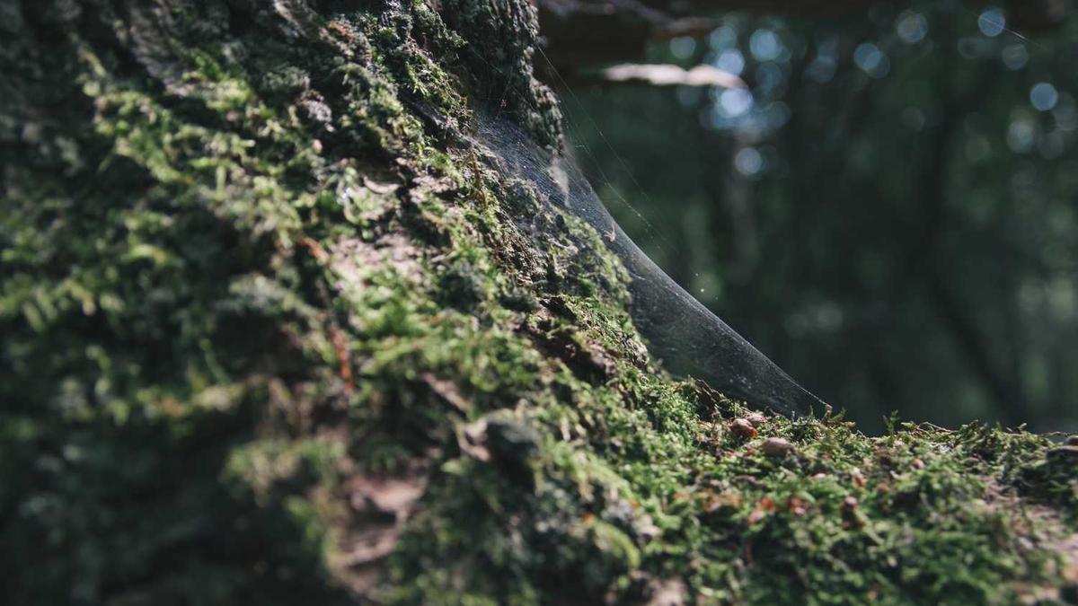 山西忻州有几个县