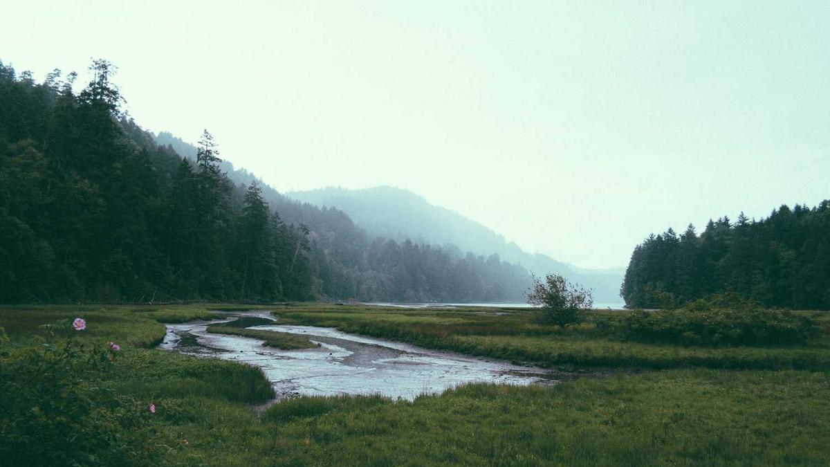 江西宜春温汤镇冬天的气温怎么了冬天冷不冷?