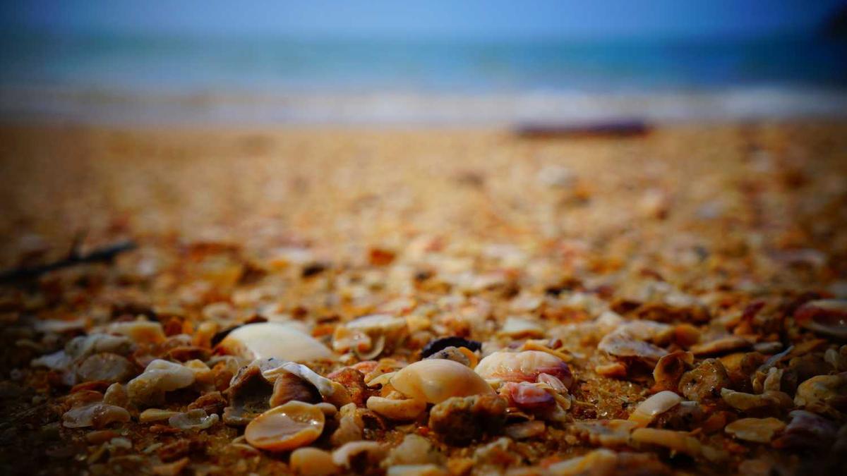 营口市地理位置及所属省