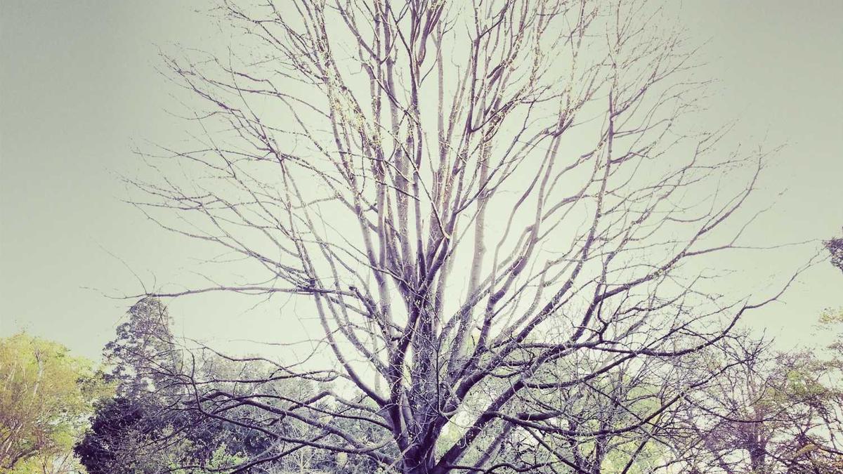 这12种人喝茶要特别注意