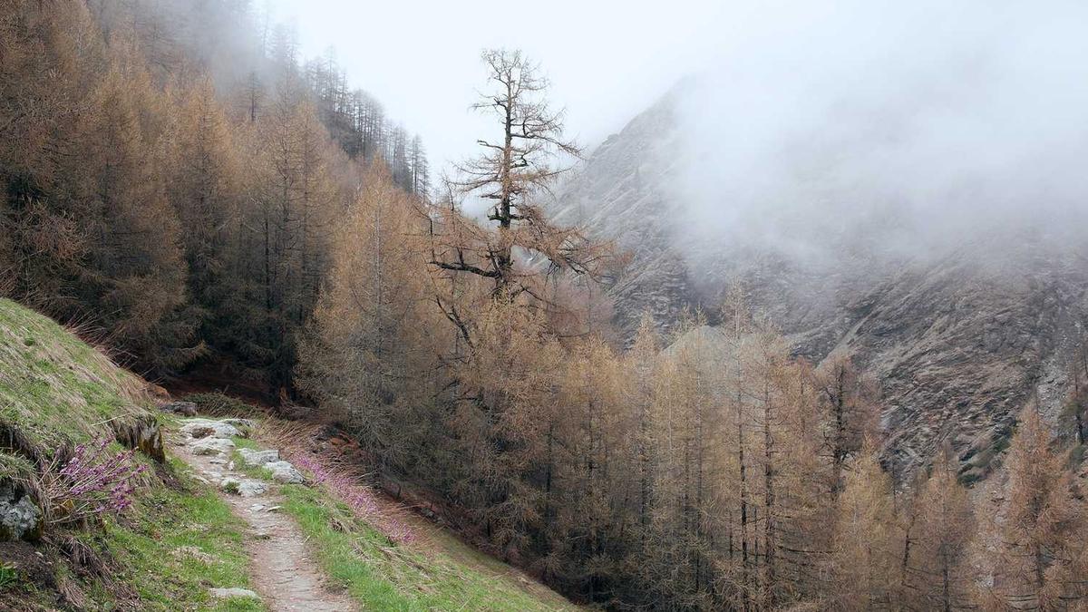 按摩椅常见问题及维修(按摩椅维修视频教程)