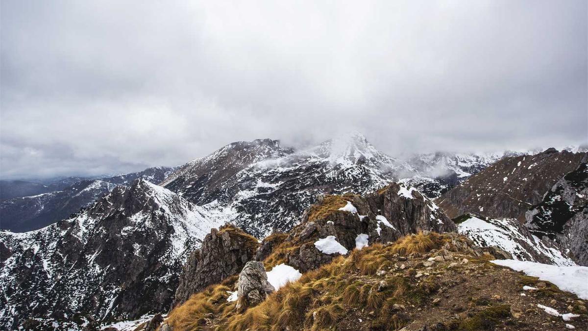 继续医学教育学分查询