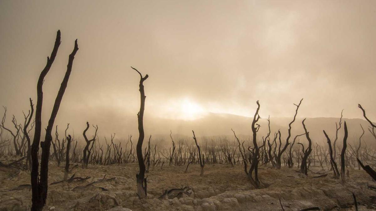 中国医师协会继续医学教育管理服务平台官怎样才能登录