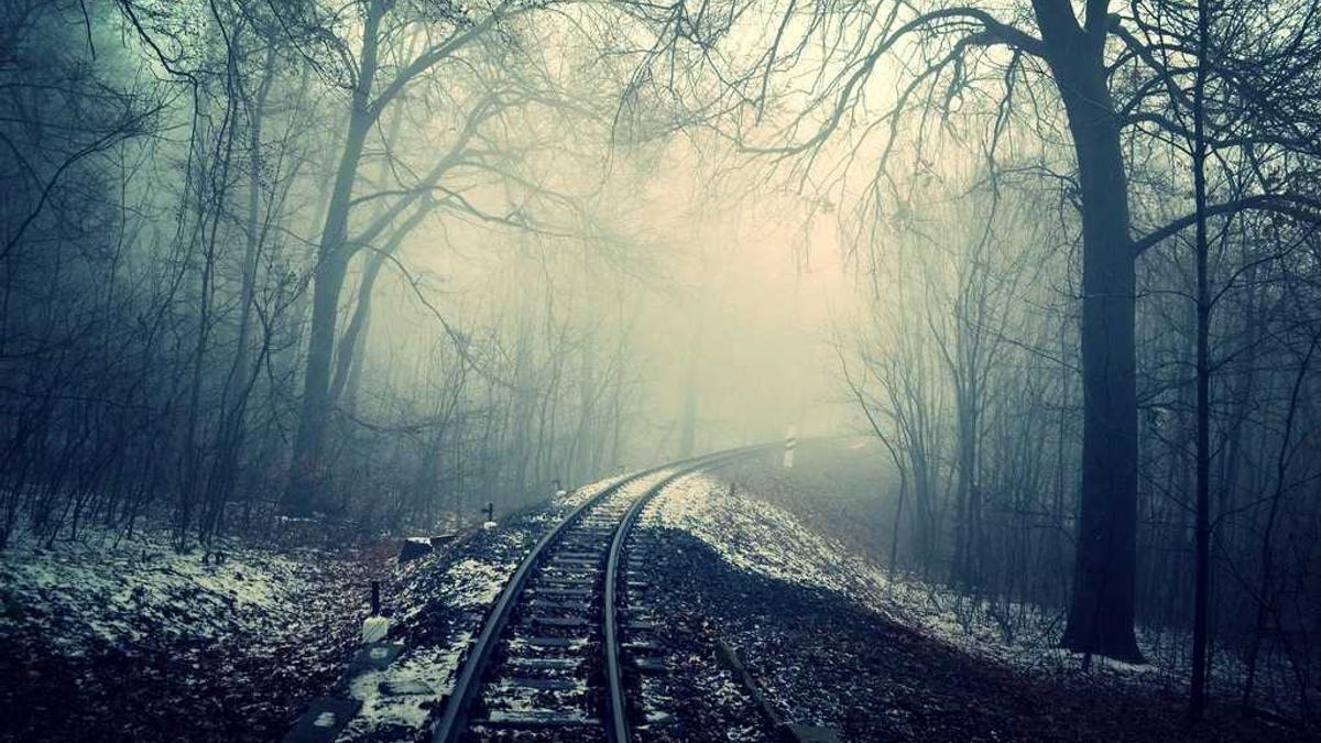 2025年宜春市中小学教师职称评审结果