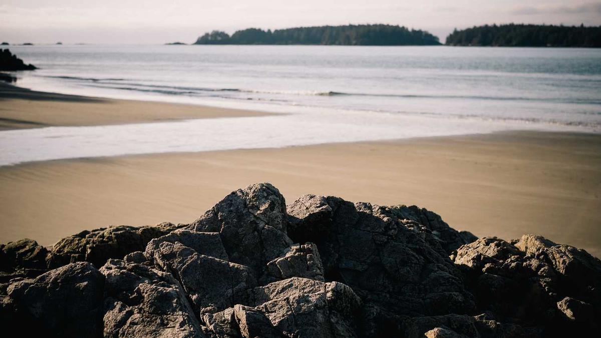 2024青岛旅游攻略:听听青岛本地人旅游建议,绝不踩坑!11月去长青岛之前...