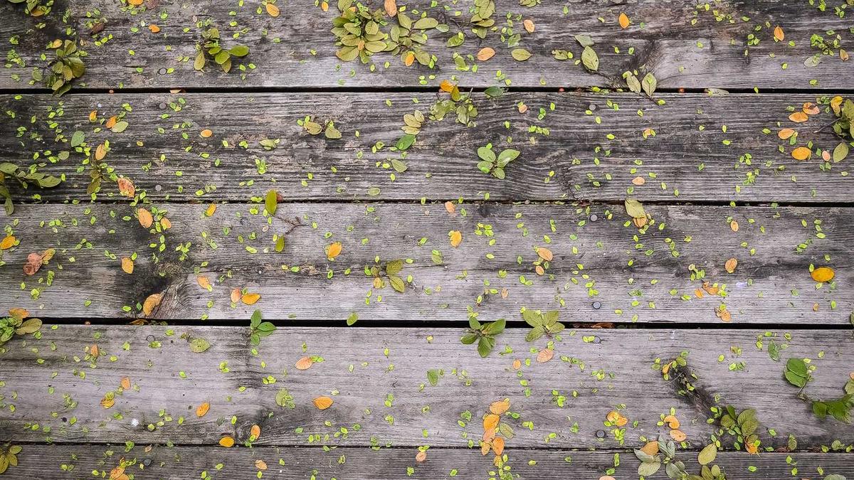 贵州省毕节市(相当于)山东哪个城市