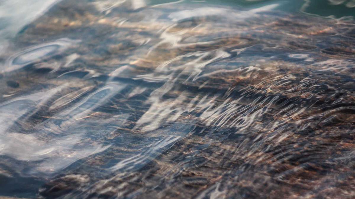 广东省中山市有几个区镇