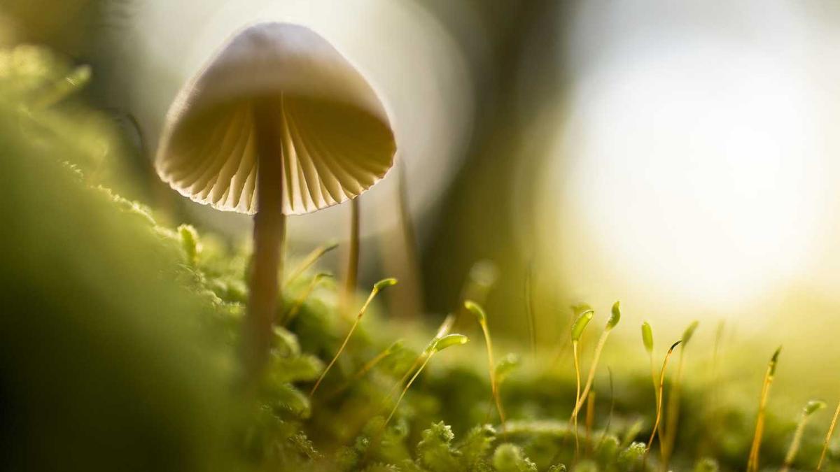 自贡火车站公交指南