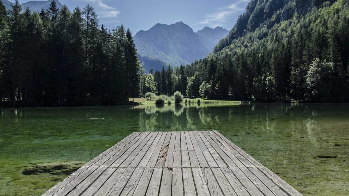 林鑫的个人资料