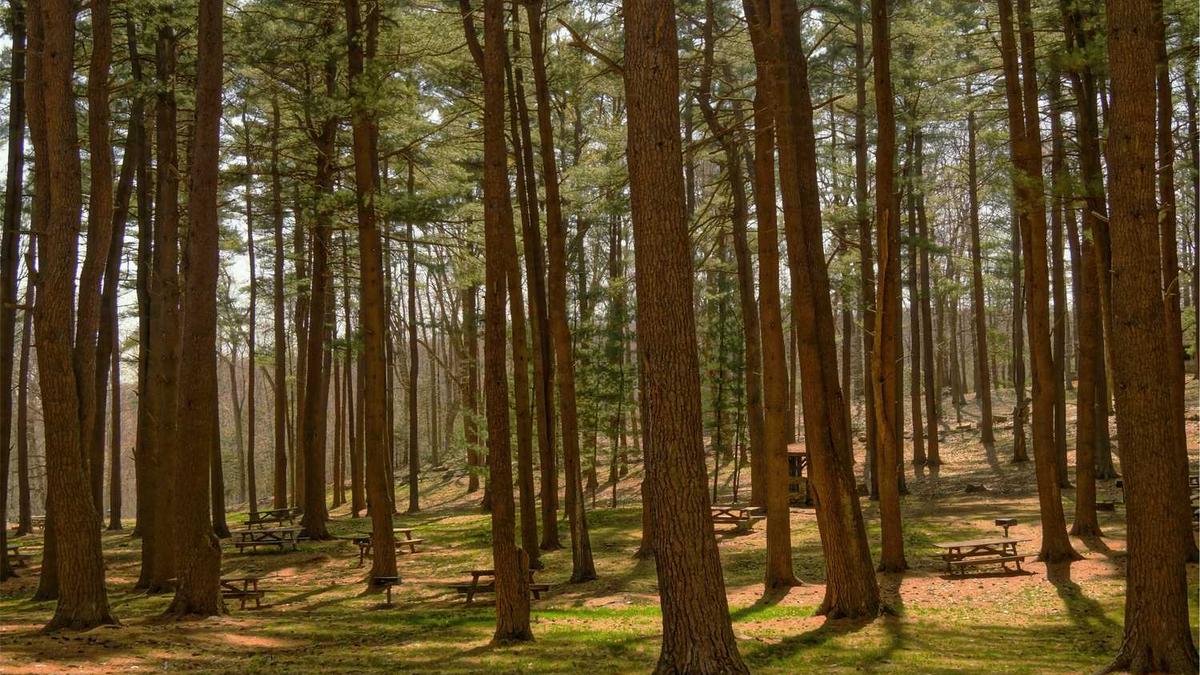 山东东营天气预报2345,山东东营天气预报一周