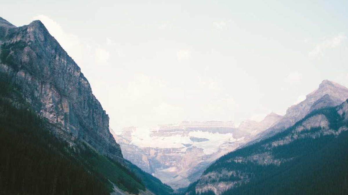 张家界七星杯荒野求生东东前后对比