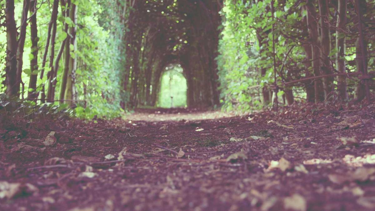 军事博物馆展示设计