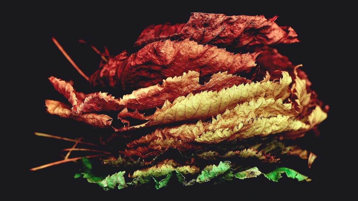 广州塔的简介30字