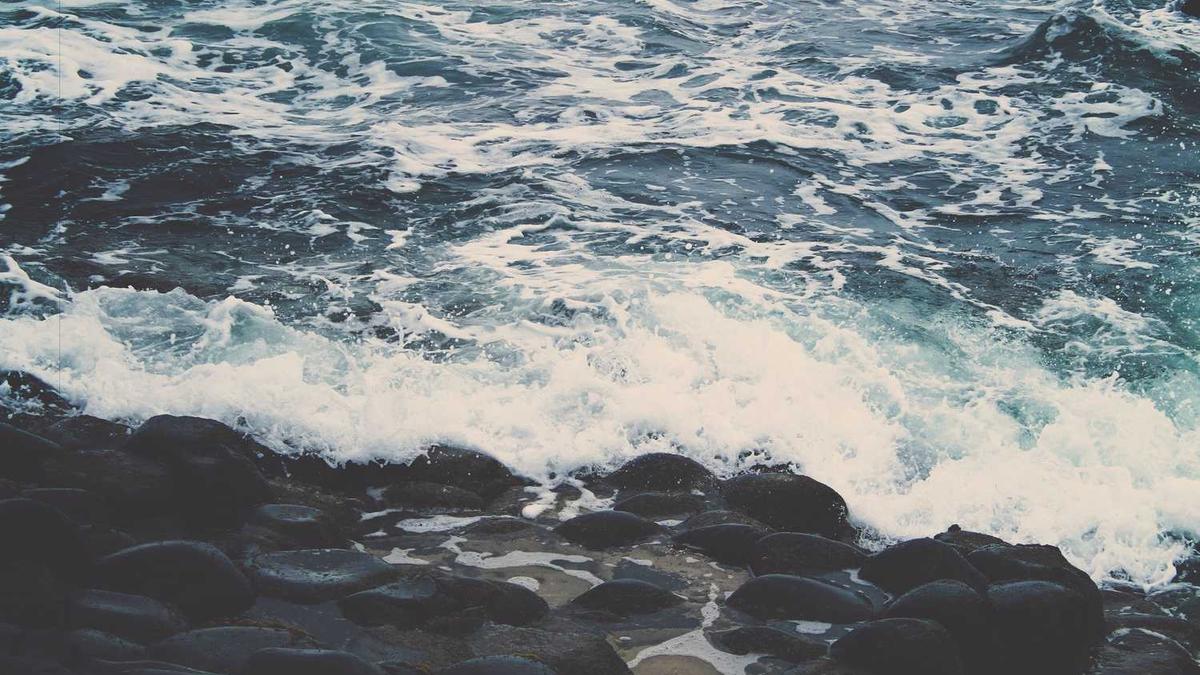 厦门航空有限公司怎么样