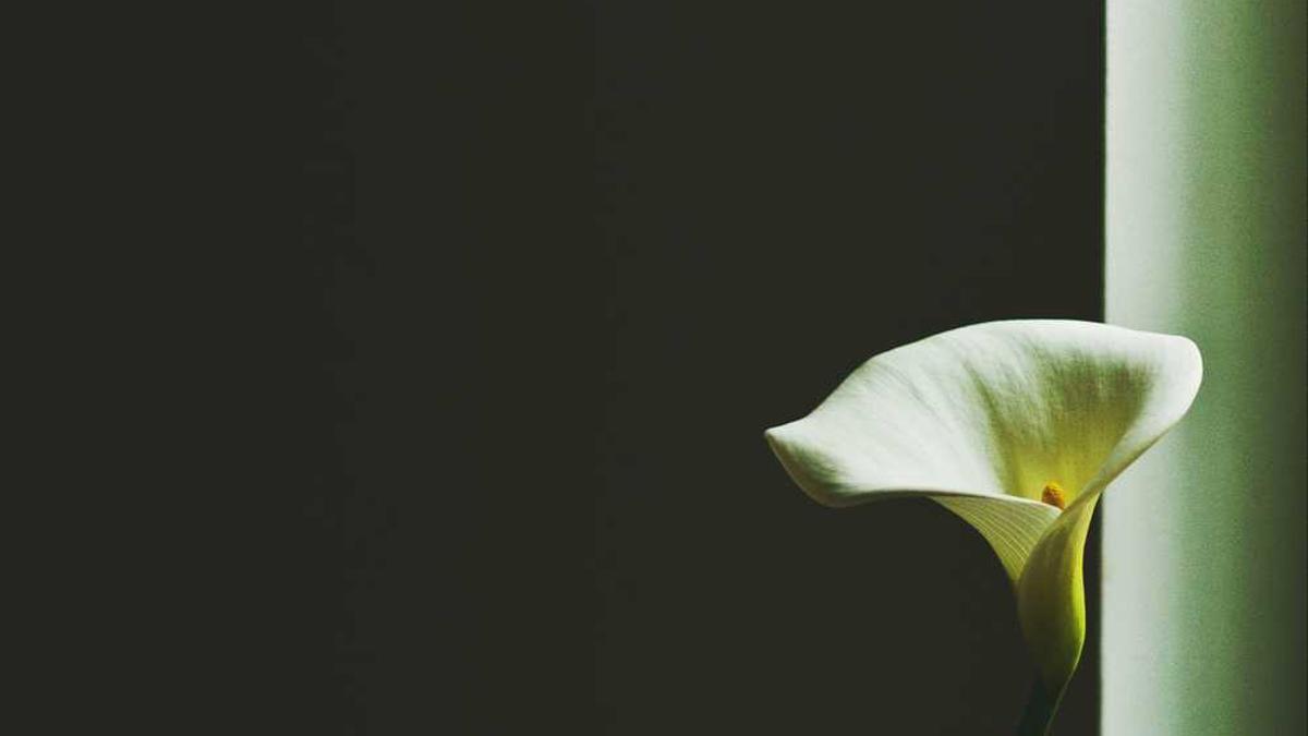 云浮在广东排第几