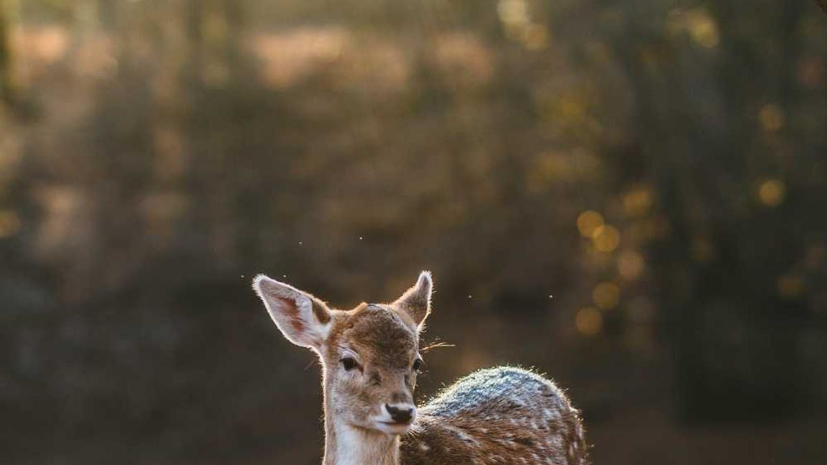 贵州毕节没有正规的人才劳务市场